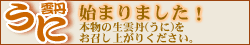 �_�O�͂��܂�܂����B